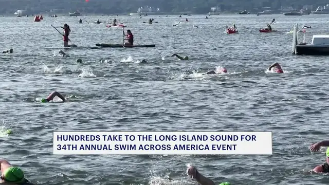 Video thumbnail for Swim Across America Long Island Sound raises millions for cancer research
