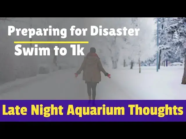 Video thumbnail for Preparing for Disaster - Late Night Aquarium Thoughts