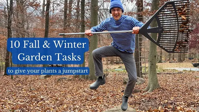 Video thumbnail for These 10 Fall & Winter Garden Tasks will Jumpstart Your Garden for next Spring