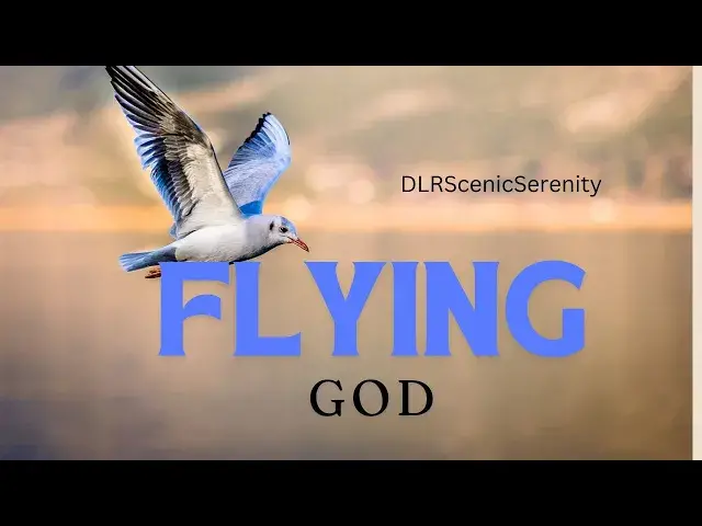 'Video thumbnail for Birds || Flying Gods || Friends Of Farmers || Birds World'