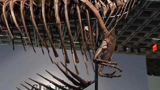 Video thumbnail for Press preview for summer season at the Breuer: 250 years of American Art & Culture, Geek Week and Sport Week 4.