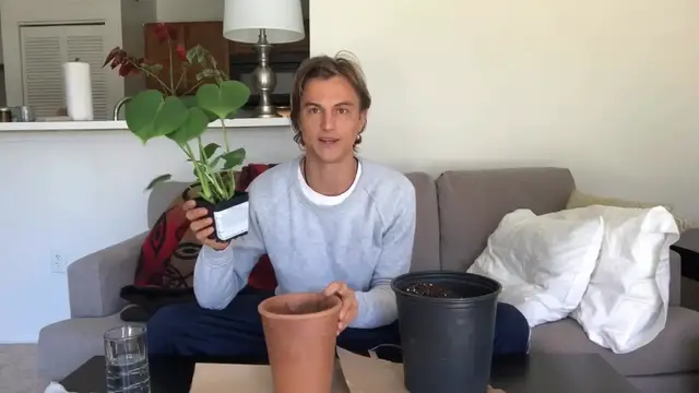 Video thumbnail for Monstera deliciosa Houseplant Care