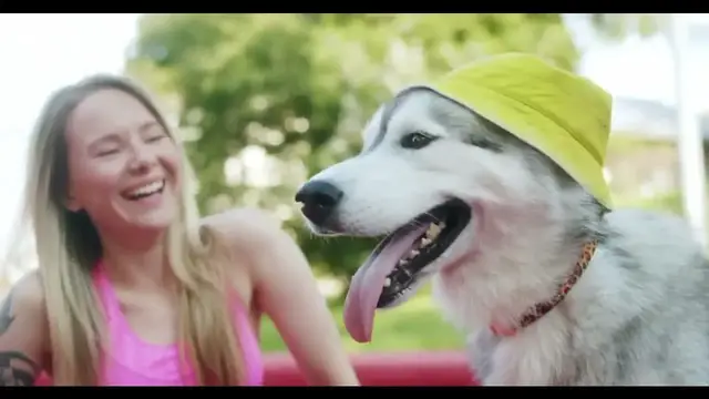 Video thumbnail for Beautiful woman |  Dog Lover Free Stock Video Footage