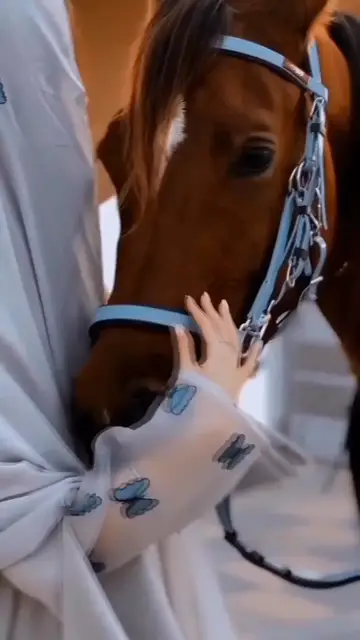 Video thumbnail for Horses 😍