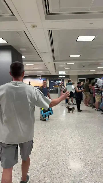 Video thumbnail for Emotional Airport Reunion with Long Lost Dog