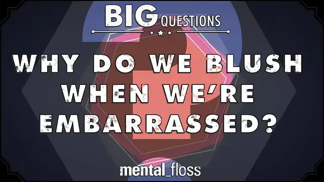'Video thumbnail for Why do we blush when we're embarrassed? - Big Questions - (Ep. 35)'