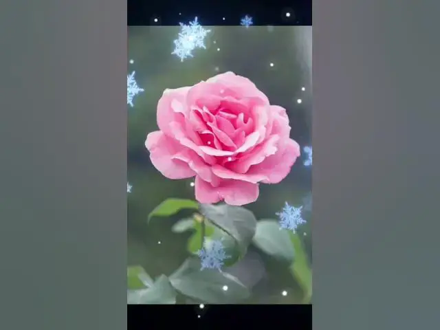 'Video thumbnail for Creations'