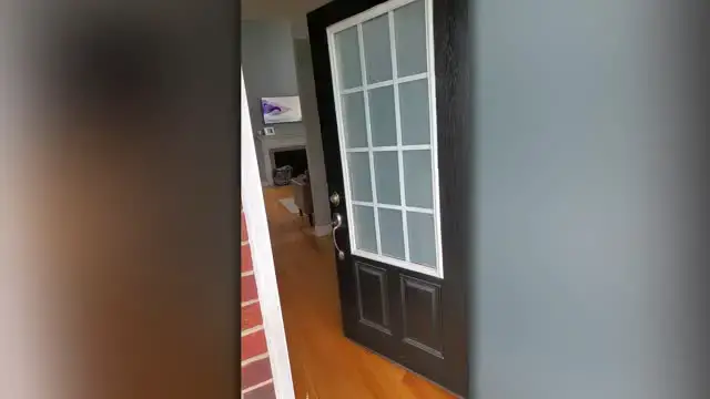 Video thumbnail for Boy Surprises Childhood Best Friend Dressed As FedEx Driver | Happily TV