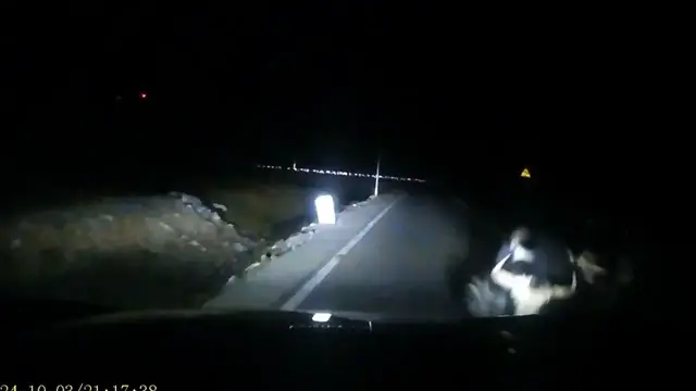 Video thumbnail for Yak Goes Wild on Car in Xinjiang!