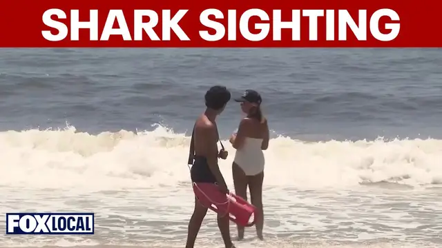 Video thumbnail for 9-foot shark spotted at Long Island beach, first sighting of season