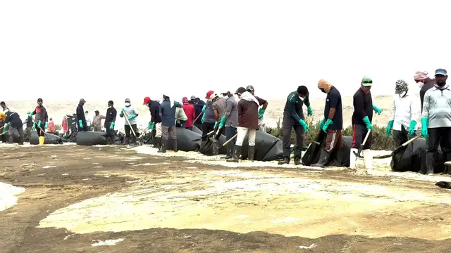 Video thumbnail for Cleanup underway as Russian oil spill reaches Oman's coastline