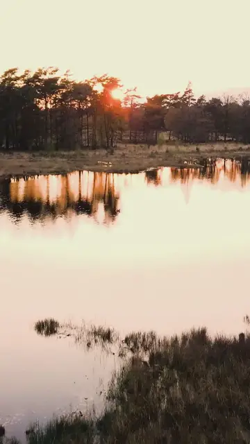 Video thumbnail for Oraciones de la Mañana para Fe y Esperanza 🌞Nuestra luz y salvación