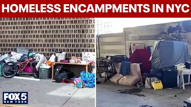 Video thumbnail for Several homeless encampments spotted in Manhattan