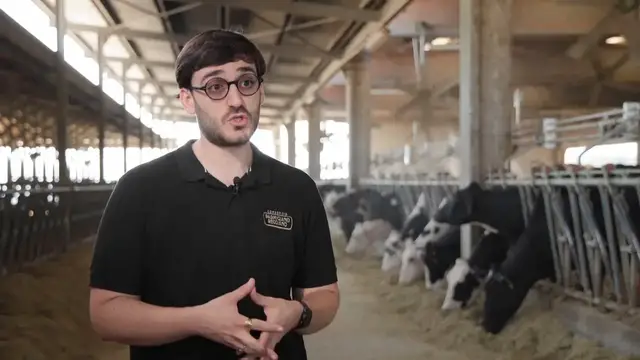 Video thumbnail for Italy: Persistent heatwave squeezes Italy's prized Parmesan sector as production costs soar.