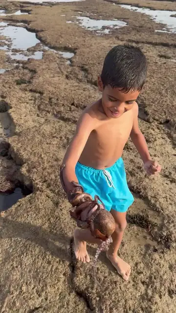 Video thumbnail for Brave Boy Catches Octopus in Shallow Tide Pools