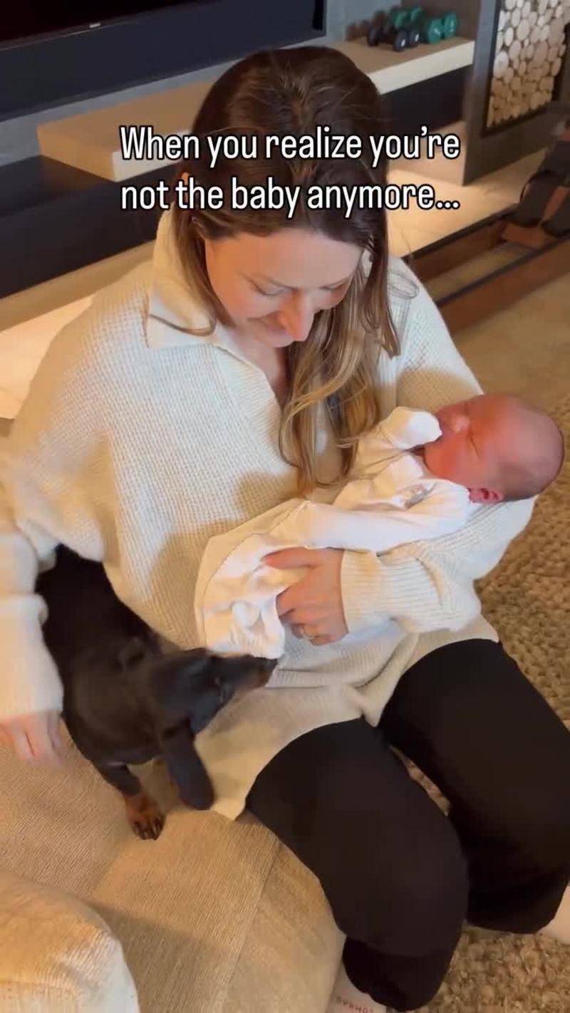 Video thumbnail for Dog Meeting Newborn Realizes It Is Not the Baby Anymore