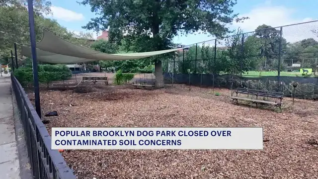 Video thumbnail for Dog run at Bed Stuy park closes temporarily due to possible soil contamination