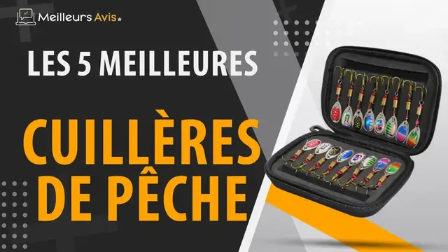 Video thumbnail for ⭐️ MEILLEURE CUILLERE DE PECHE - Comparatif 2023