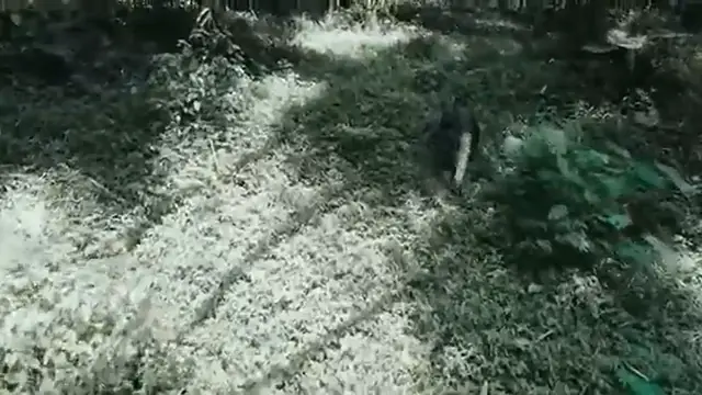 Video thumbnail for Epic Nature