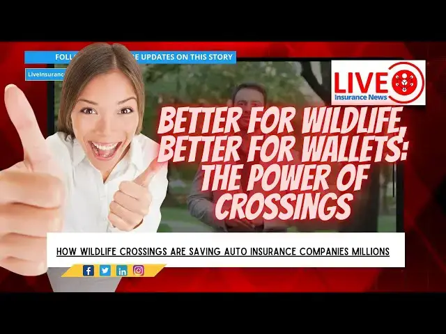 'Video thumbnail for Bridges for Animals, Savings for Drivers How Wildlife Crossings Cut Costs'