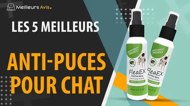 Video thumbnail for ⭐️ MEILLEURS ANTI-PUCES POUR CHAT - Avis & Guide d'achat (Comparatif 2022)