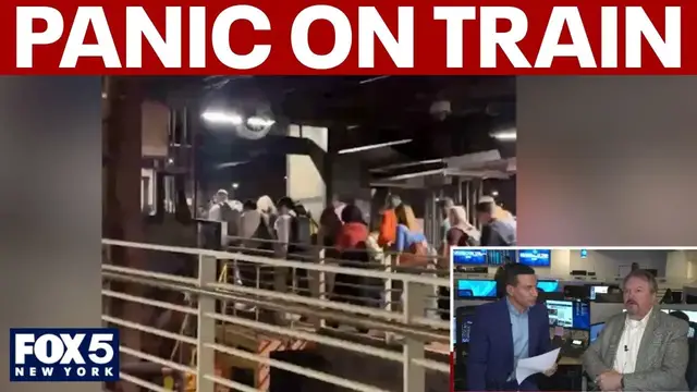 Video thumbnail for Commuters panic as emergency brake triggers Grand Central train delay