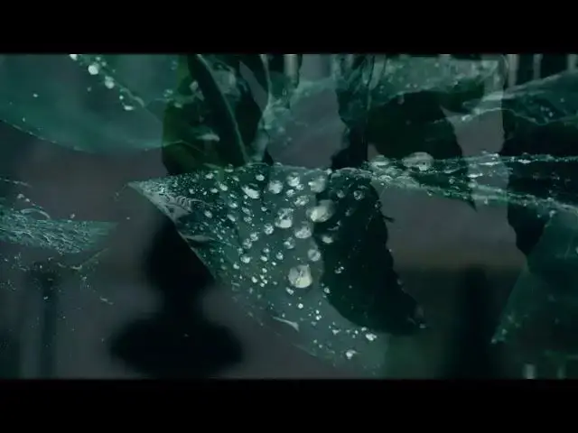 Video thumbnail for Rain  CINEMATIC