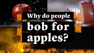 'Video thumbnail for Why Do We Bob For Apples?'