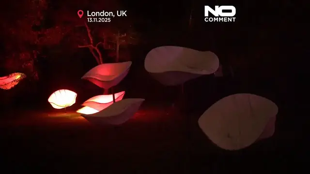 'Video thumbnail for One million LEDs: Kew Gardens unveils new Christmas light trail'