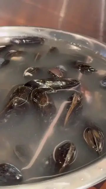 Video thumbnail for Moules-Frites_ 🇧🇪😍🇫🇷(720P_60FPS)