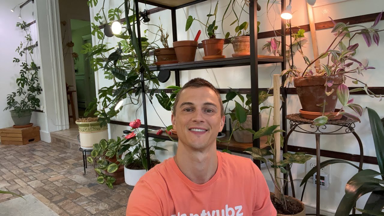 Video thumbnail for Garden Update July 2022 #houseplants #garden