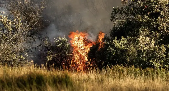 Video thumbnail for 10,000 people evacuated as wildfire tears through southern France