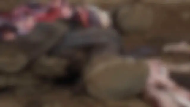 Video thumbnail for Kenya: Kenya continues investigation into mysterious elephant deaths in Amboseli-Kimana.