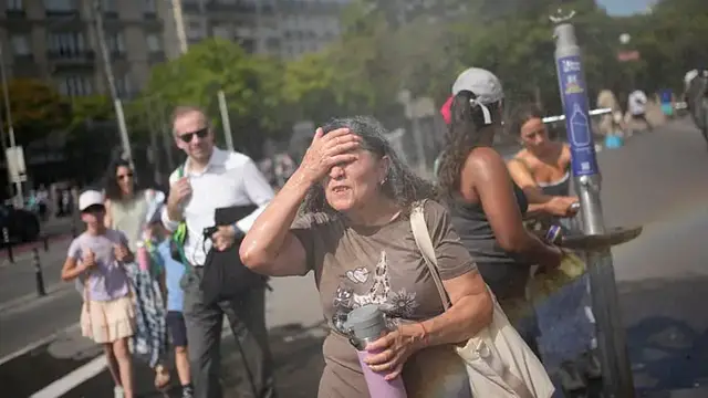 Video thumbnail for More than 1,300 excess deaths recorded in Europe heatwave: WHO