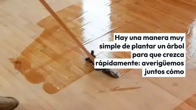 Video thumbnail for Árbol, cómo plantarlo para que crezca 3 veces más rápido