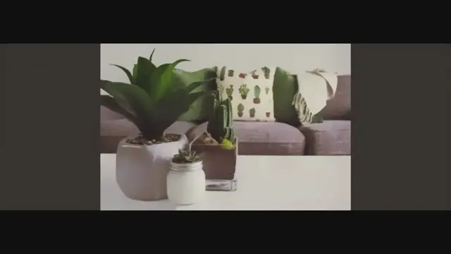 'Video thumbnail for Indoor Gardening Tips: Cultivate Your Green Haven!'
