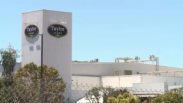 Video thumbnail for FDA says Taylor Farms lettuce tested for Cyclospora was a 'false positive,' none detected