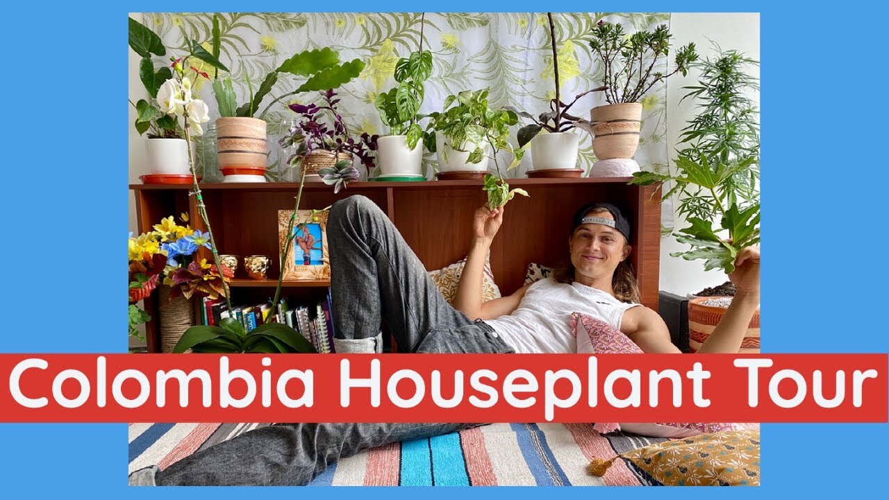 Video thumbnail for Tour of Our Houseplants in Bogota, Colombia! (subtítulos en español)