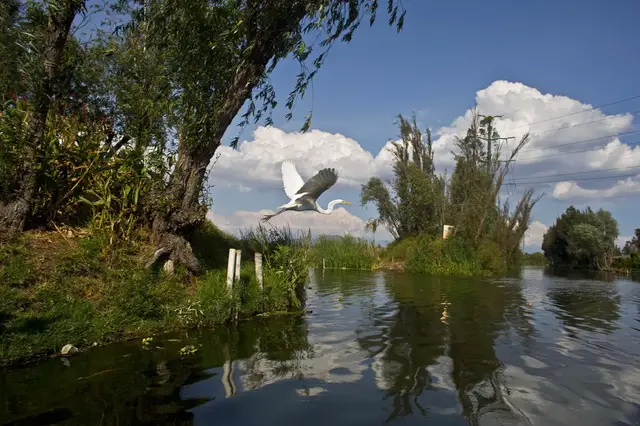 'Video thumbnail for Saving Mexico city's ancient gardens: Urban development threatens Aztec canal network'