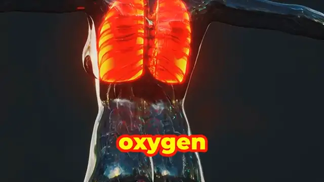 Video thumbnail for Unlock Lung Health Top Foods & Spices! by 𝐓𝐡𝐞𝐀𝐬𝐭𝐡𝐦𝐚𝐂𝐮𝐫𝐞𝐬