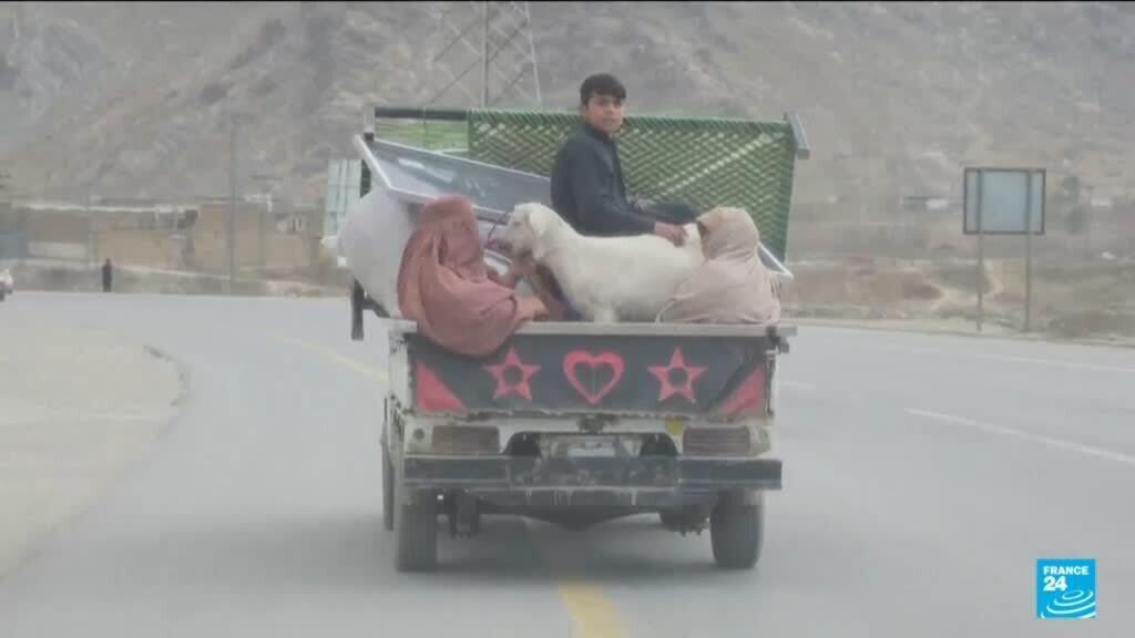 Video thumbnail for Civilians flee fighting after Pakistan bombs Afghan cities