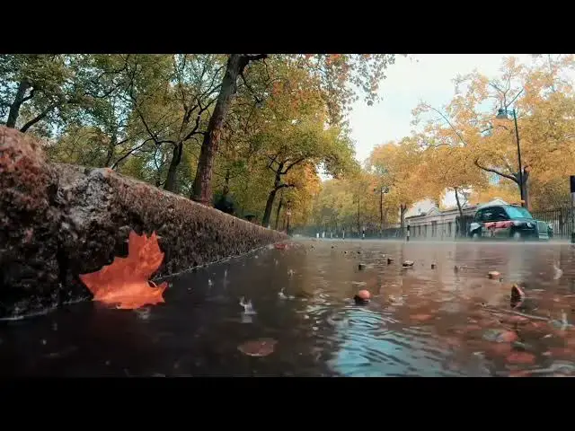 Video thumbnail for Slow Motion Rain