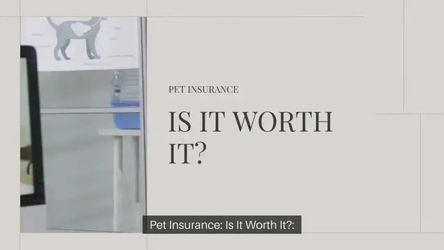 Video thumbnail for Pet Insurance Is It Worth It