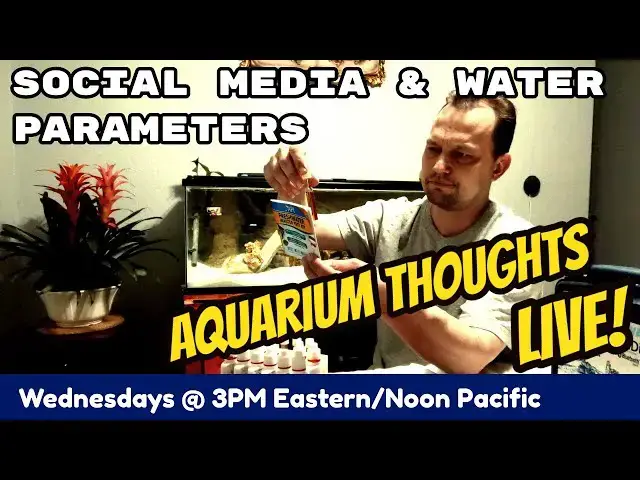 Video thumbnail for Do we need to know your water parameters? - Aquarium Thoughts LIVE! #20-03