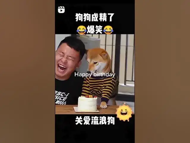 'Video thumbnail for Happy Birthday Dog '