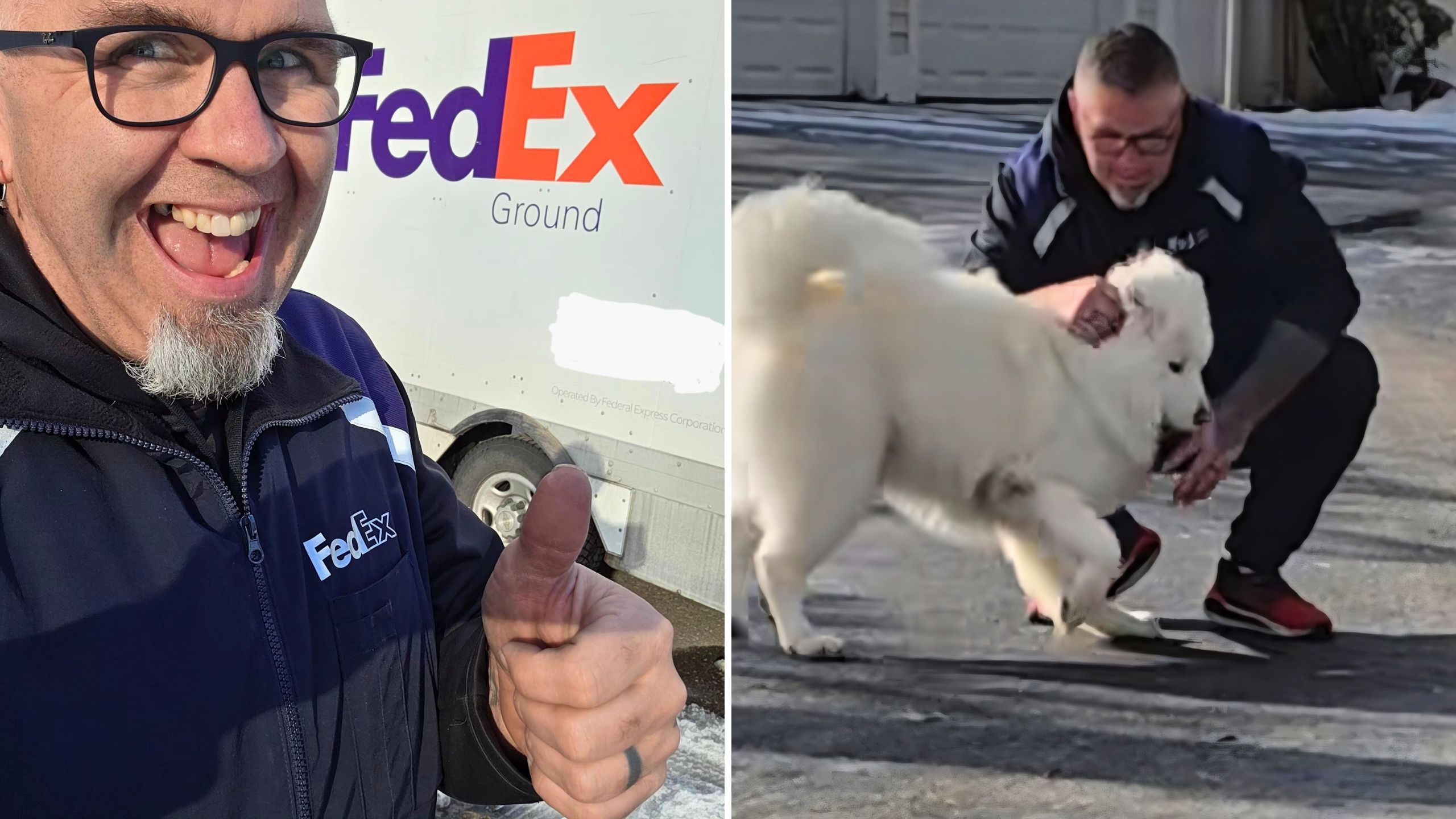 Video thumbnail for FedEx Driver Builds Wholesome Relationship With Neighborhood Dog