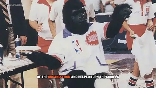 Video thumbnail for Why Do the Phoenix Suns Have a Gorilla Mascot? The Crazy Story of Go the Gorilla