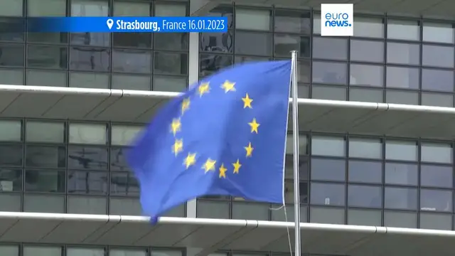 Video thumbnail for European Parliament to start procedure to ban Alternative for Germany’s EU party