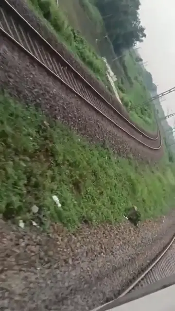 'Video thumbnail for Nature india '