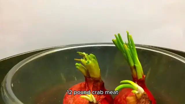 'Video thumbnail for Seafood salad recipe'